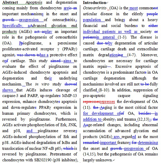 language list success work sample