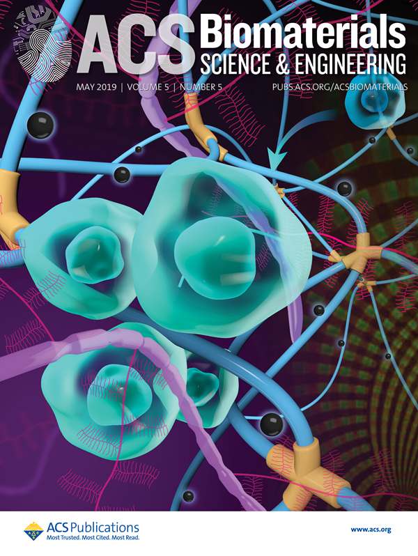 Magnetic Enhancement of Chondrogenic Differentiation of Mesenchymal Stem Cells