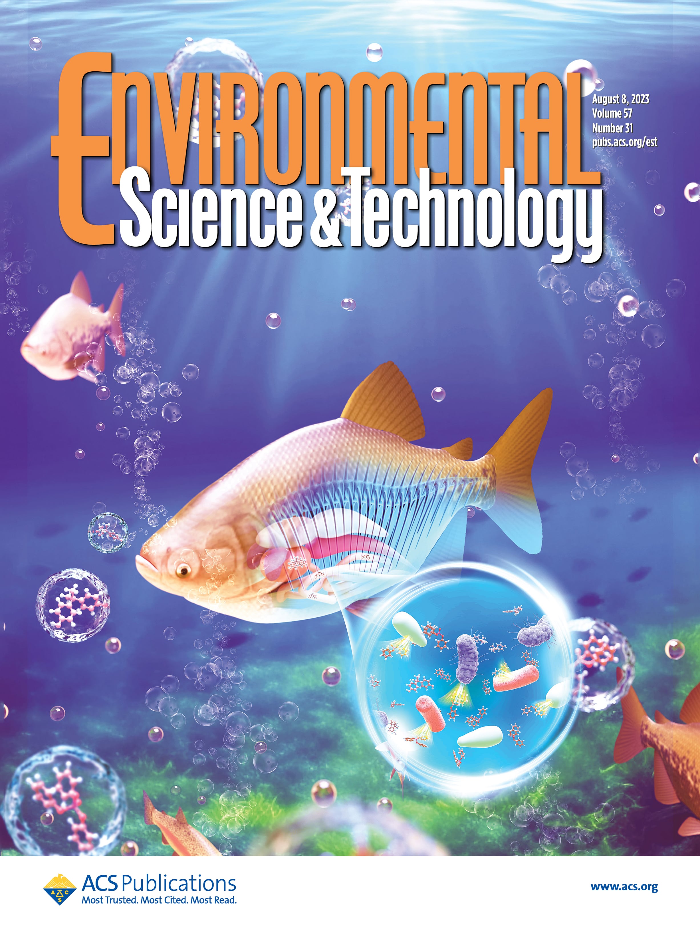 LetPub Journal Cover Art Design - Role of Gastrointestinal Microbiota from Crucian Carp in Microbial Transformation and Estrogenicity Modification of Novel Plastic Additives