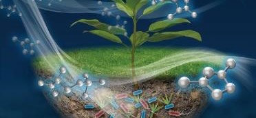 LetPub Journal Cover Art Design - Overhauling the assessment of agrochemical-driven interferences with microbial communities for improved global ecosystem integrity