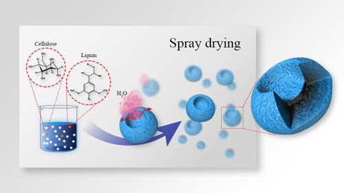 LetPub Graphical Abstract