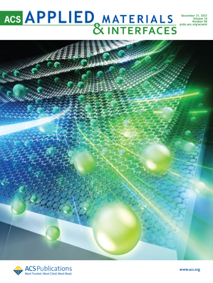 LetPub Journal Cover Design Service Art Sample, ACS Applied Materials & Interfaces Cover 1