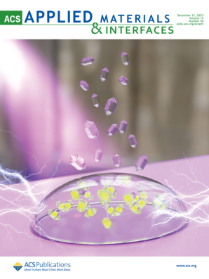 LetPub Journal Cover Design Service Art Sample, ACS Applied Materials & Interfaces Cover 3