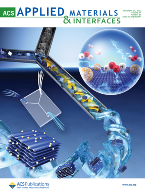 LetPub Journal Cover Design Service Art Sample, ACS Applied Materials & Interfaces Cover 4