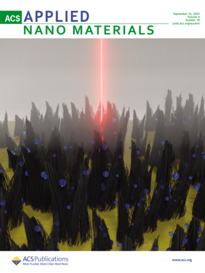 LetPub Journal Cover Design Service Art Sample, ACS Applied Nano Materials Cover 1
