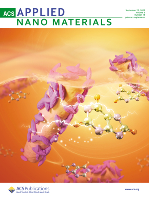 LetPub Journal Cover Design Service Art Sample, ACS Applied Nano Materials Cover 2