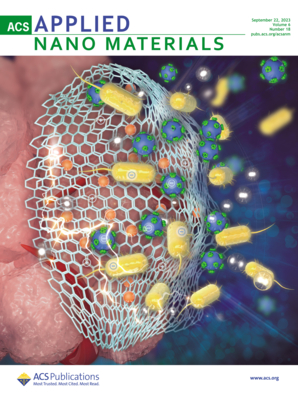 LetPub Journal Cover Design Service Art Sample, ACS Applied Nano Materials Cover 3