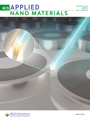 LetPub Journal Cover Design Service Art Sample, ACS Applied Nano Materials Cover 4