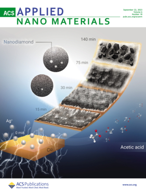 LetPub Journal Cover Design Service Art Sample, ACS Applied Nano Materials Cover 5